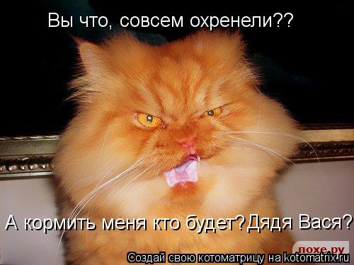 Вы что, совсем охренели?? А кормить меня кто будет? Дядя Вася?... Котоматрица: Вы что, совсем охренели?? А кормить меня кто будет? Дядя Вася?