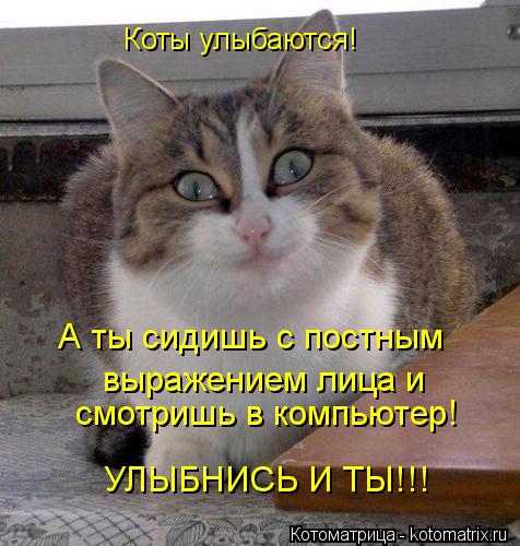 Котоматрица: Коты улыбаются! А ты сидишь с постным выражением лица и смотришь в компьютер! УЛЫБНИСЬ И ТЫ!!!