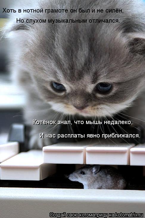 Хоть в нотной грамоте он был и не силён, Но слухом музыкальным отличался. Котёнок знал, что мышь неда... Котоматрица: Хоть в нотной грамоте он был и не силён, Но слухом музыкальным отличался. Котёнок знал, что мышь недалеко, И час расплаты явно приближался.