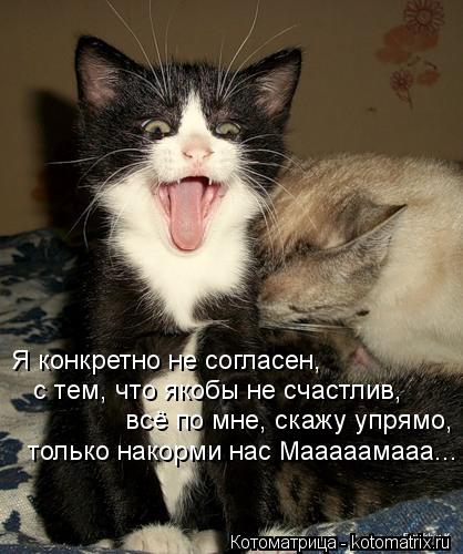 Котоматрица: Я конкретно не согласен, с тем, что якобы не счастлив,  всё по мне, скажу упрямо, только накорми нас Мааааамааа... :))