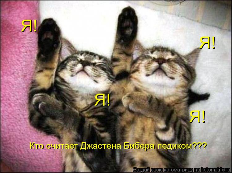 Котоматрица: Кто считает Джастена Бибера педиком??? Я! Я! Я! Я!