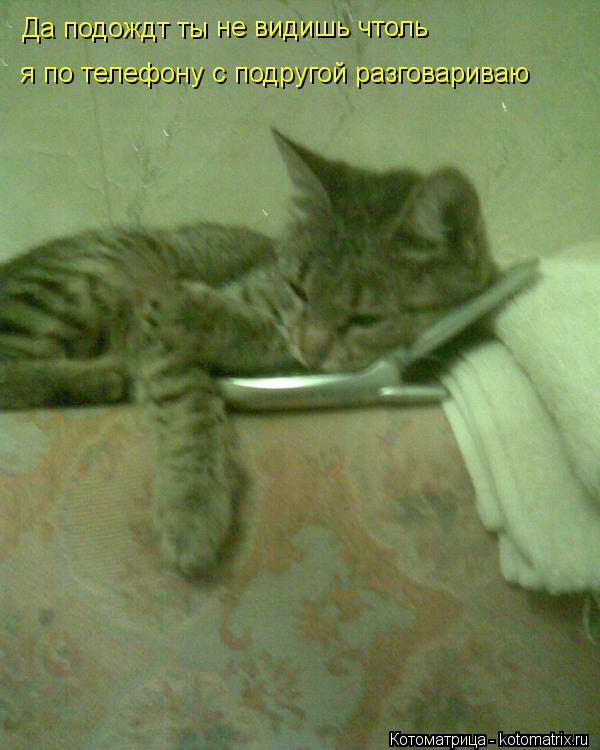 Да подождт ты не видишь чтоль я по телефону с подругой разговариваю... Котоматрица: Да подождт ты не видишь чтоль я по телефону с подругой разговариваю