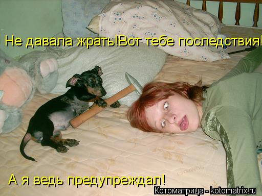 Котоматрица: Не давала жрать!Вот тебе последствия!!! А я ведь предупреждал!