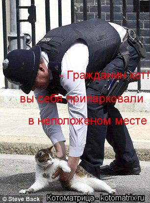 - Гражданин кот! вы себя припарковали в неположеном месте... Котоматрица: - Гражданин кот! вы себя припарковали в неположеном месте