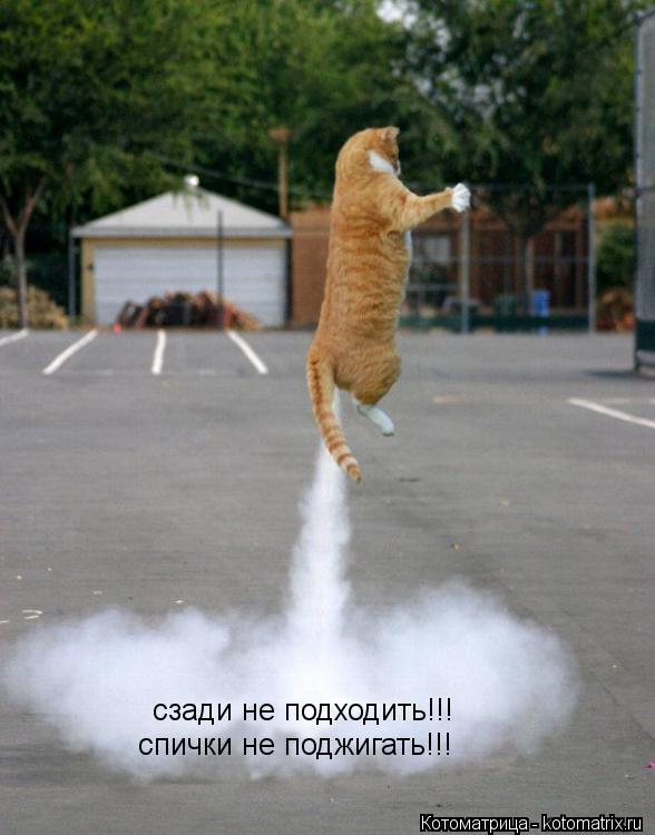 Котоматрица: сзади не подходить!!! спички не поджигать!!!