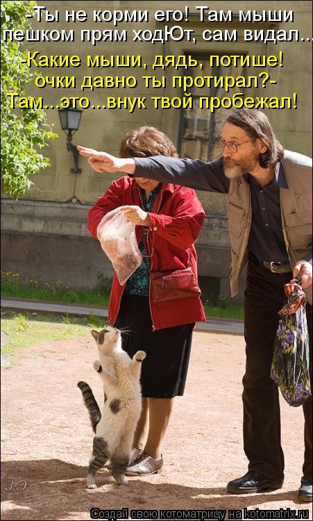 Котоматрица: -Ты не корми его! Там мыши пешком прям ходЮт, сам видал... -Какие мыши, дядь, потише! очки давно ты протирал?- Там...это...внук твой пробежал!