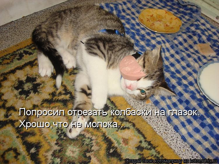 Котоматрица: Попросил отрезать колбаски на глазок. Хрошо,что не молока...
