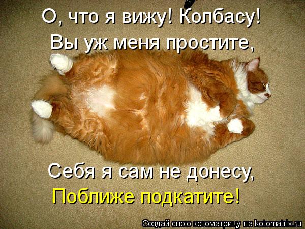 Котоматрица: О, что я вижу! Колбасу! Вы уж меня простите, Себя я сам не донесу, Поближе подкатите!
