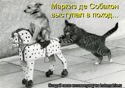 Котоматрица: Маркиз де Собакон  выступал в поход...