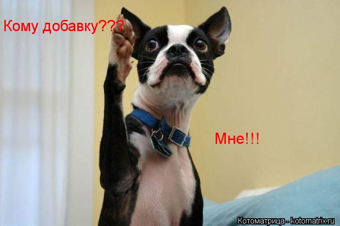 Котоматрица: Кому добавку??? Мне!!!