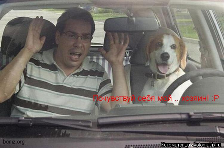 Котоматрица: Почувствуй себя мой... хозяин! :Р