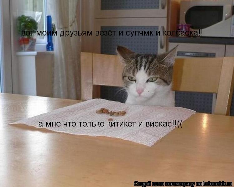 Котоматрица: вот моим друзьям везёт и супчмк и колбаска!! а мне что только китикет и вискас!!((