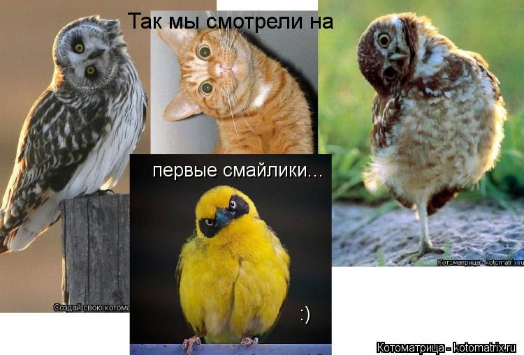 Котоматрица: первые смайлики... :) Так мы смотрели на