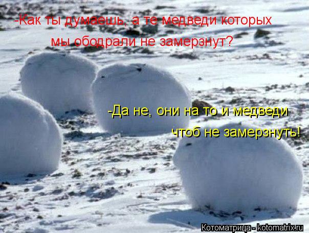 Котоматрица: -Как ты думаешь, а те медведи которых мы ободрали не замерзнут? -Да не, они на то и медведи чтоб не замерзнуть!