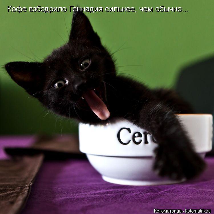 Котоматрица: Кофе взбодрило Геннадия сильнее, чем обычно...
