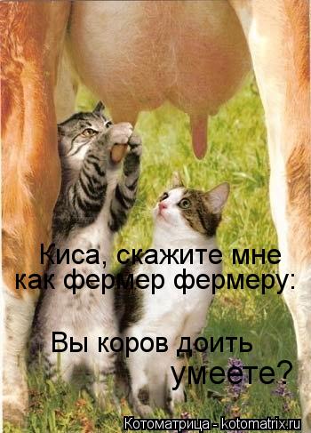Котоматрица: Киса, скажите мне как фермер фермеру: Вы коров доить умеете?
