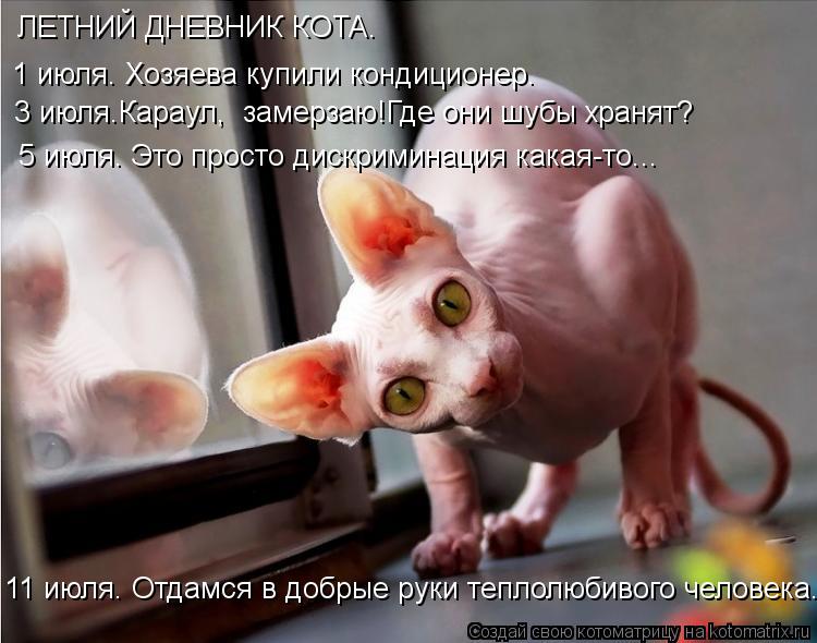 Котоматрица: ЛЕТНИЙ ДНЕВНИК КОТА. 1 июля. Хозяева купили кондиционер. 5 июля. Это просто дискриминация какая-то... 3 июля.Караул,  замерзаю!Где они шубы хран