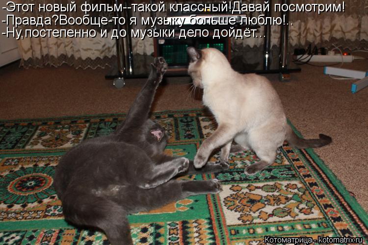 Котоматрица: -Этот новый фильм--такой классный!Давай посмотрим! -Правда?Вообще-то я музыку больше люблю!.. -Ну,постепенно и до музыки дело дойдёт...