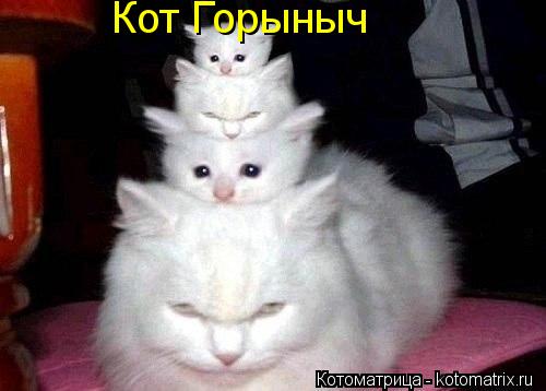 Котоматрица: Кот Горыныч