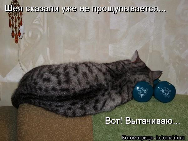 Котоматрица: Шея сказали уже не прощупывается... Вот! Вытачиваю...