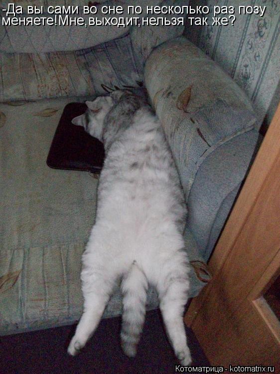 Котоматрица: -Да вы сами во сне по несколько раз позу меняете!Мне,выходит,нельзя так же?