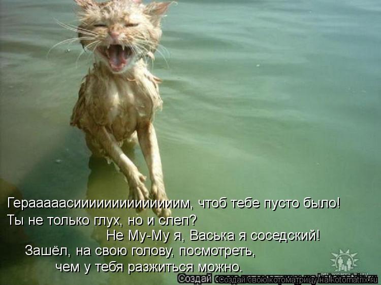 Котоматрица: Герааааасиииииииииииииим, чтоб тебе пусто было! Ты не только глух, но и слеп?  Не Му-Му я, Васька я соседский! Зашёл, на свою голову, посмотрет