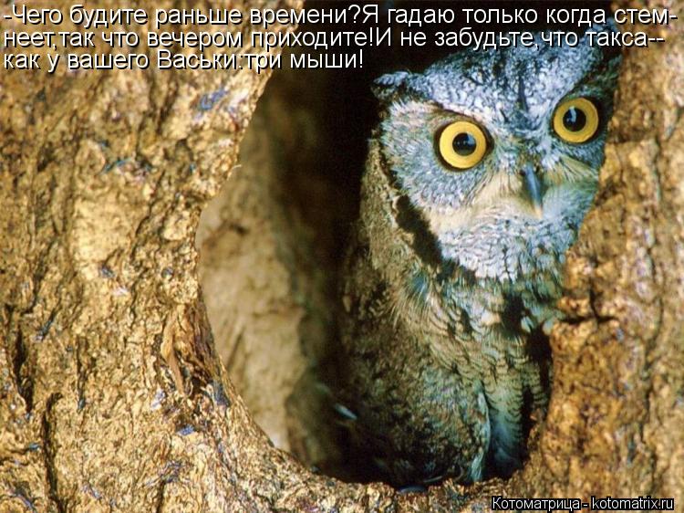 Котоматрица: -Чего будите раньше времени?Я гадаю только когда стем- неет,так что вечером приходите!И не забудьте,что такса-- как у вашего Васьки:три мыши!