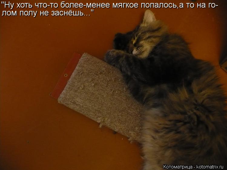 Котоматрица: "Ну хоть что-то более-менее мягкое попалось,а то на го- лом полу не заснёшь..."