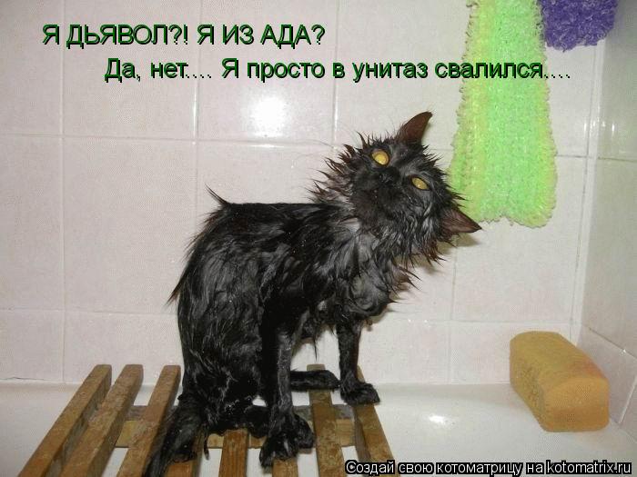 Я ДЬЯВОЛ?! Я ИЗ АДА? Да, нет.... Я просто в унитаз свалился....... Котоматрица: Я ДЬЯВОЛ?! Я ИЗ АДА? Да, нет.... Я просто в унитаз свалился....
