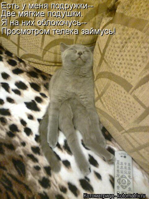 Котоматрица: Есть у меня подружки-- Две мягкие подушки. Я на них облокочусь-- Просмотром телека займусь!