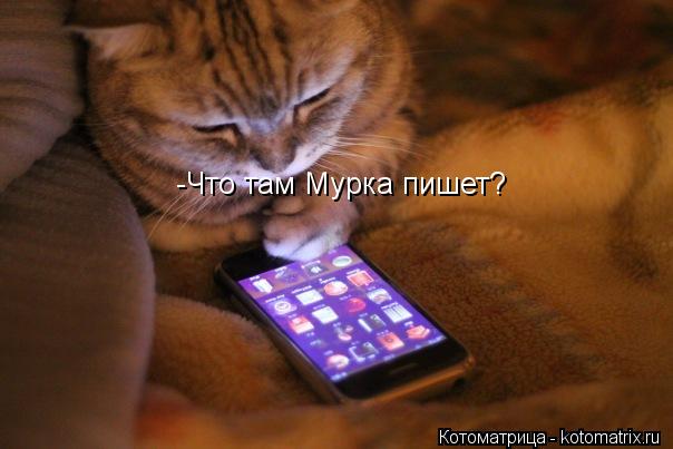 Котоматрица: -Что там Мурка пишет?