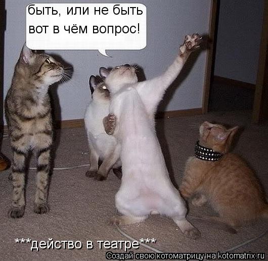 Котоматрица: ***действо в театре*** быть, или не быть вот в чём вопрос!