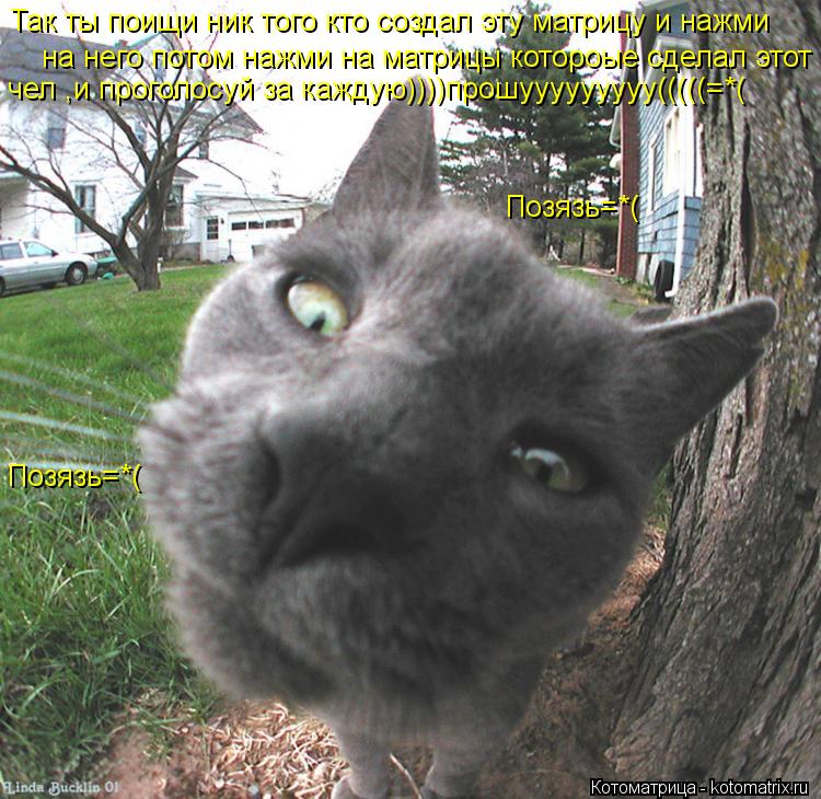 Котоматрица: Так ты поищи ник того кто создал эту матрицу и нажми на него потом нажми на матрицы котороые сделал этот чел и про чел ,и проголосуй за кажду