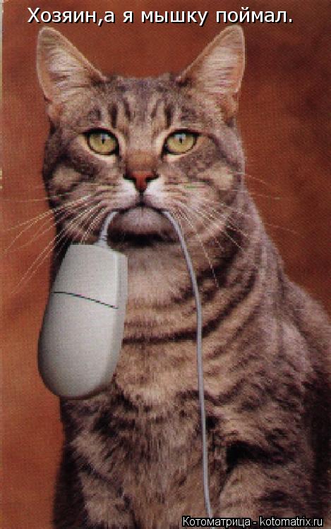 Котоматрица: Хозяин,а я мышку поймал.