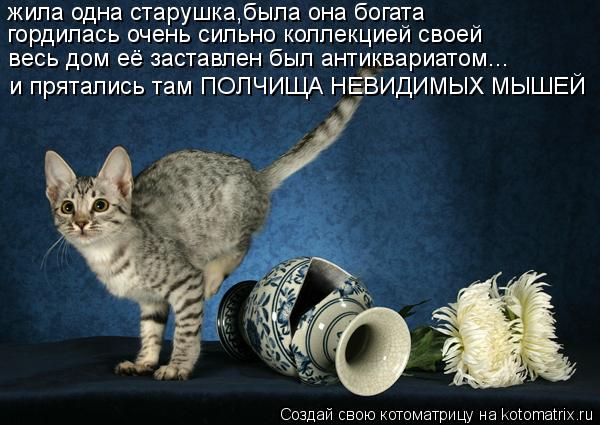 жила одна старушка,была она богата гордилась очень сильно коллекцией своей весь дом её заставлен был ... Котоматрица: жила одна старушка,была она богата гордилась очень сильно коллекцией своей весь дом её заставлен был антиквариатом... и прятались там ПОЛЧИ