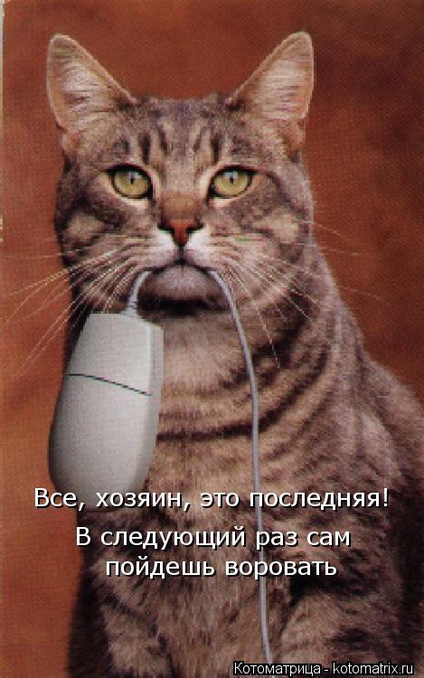 Котоматрица: Все, хозяин, это последняя! В следующий раз сам  пойдешь воровать