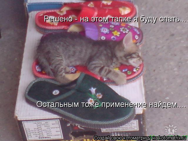 Котоматрица: Решено - на этом тапке я буду спать.... Остальным тоже применение найдем....