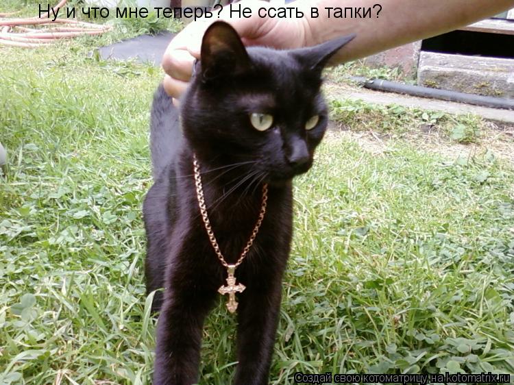 Котоматрица: Ну и что мне теперь? Не ссать в тапки?