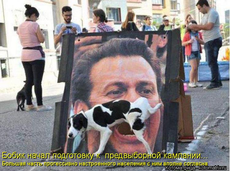 Котоматрица: Бобик начал подготовку к  предвыборной кампании... Большая часть прогессивно настроенного населения с ним вполне согласна