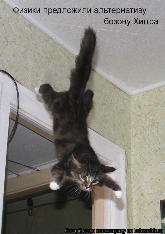 Котоматрица: Физики предложили альтернативу  бозону Хиггса