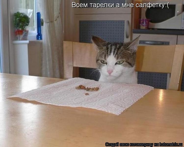 Всем тарелки а мне салфетку:(... Котоматрица: Всем тарелки а мне салфетку:(
