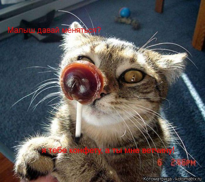 Котоматрица: Малыш давай меняться? я тебе конфету, а ты мне ветчину!