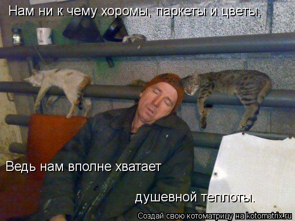 Котоматрица: Нам ни к чему хоромы, паркеты и цветы, Ведь нам вполне хватает  душевной теплоты.