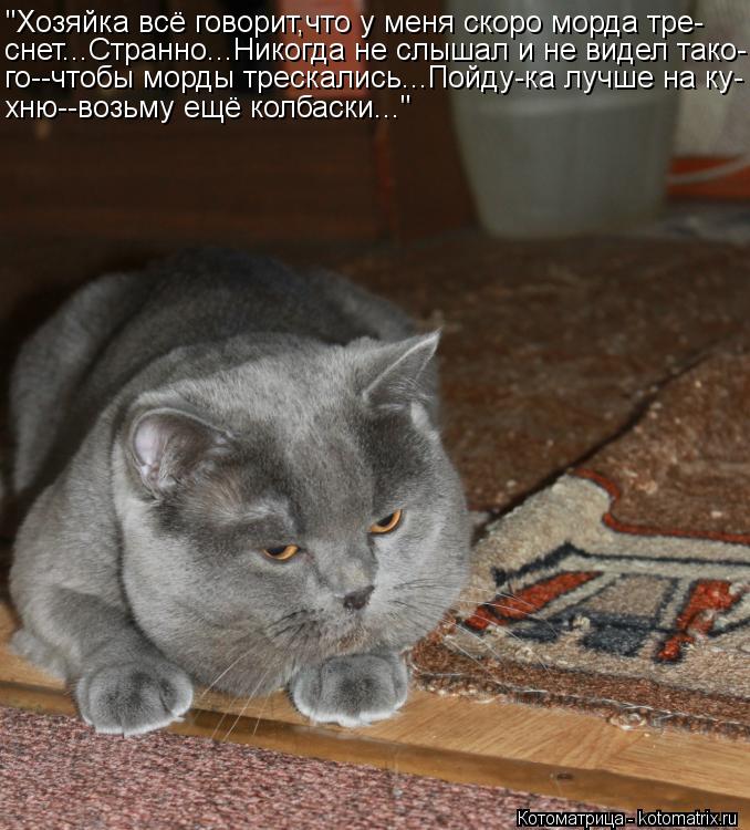 "Хозяйка всё говорит,что у меня скоро морда тре- снет...Странно...Никогда не слышал и не видел тако- ... Котоматрица: "Хозяйка всё говорит,что у меня скоро морда тре- снет...Странно...Никогда не слышал и не видел тако- го--чтобы морды трескались...Пойду-ка лучше
