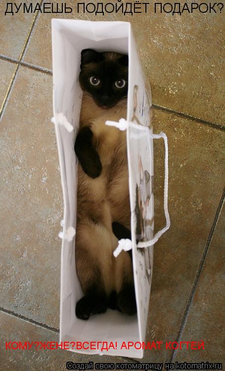 Котоматрица: ДУМАЕШЬ ПОДОЙДЁТ ПОДАРОК? ДУМАЕШЬ ПОДОЙДЁТ ПОДАРОК? КОМУ?ЖЕНЕ?ВСЕГДА! АРОМАТ КОГТЕЙ