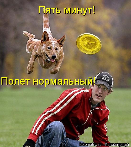 Котоматрица: Пять минут! Полет нормальный!