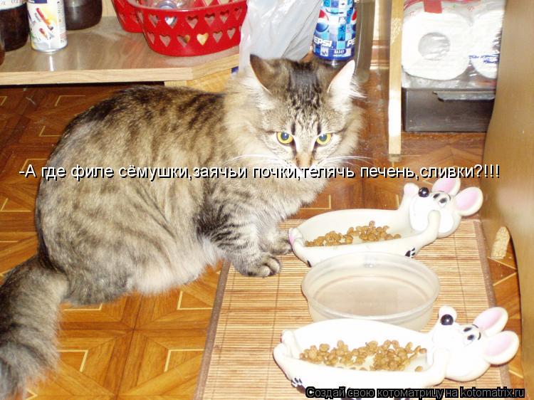 Котоматрица: -А где филе сёмушки,заячьи почки,телячь печень,сливки?!!!