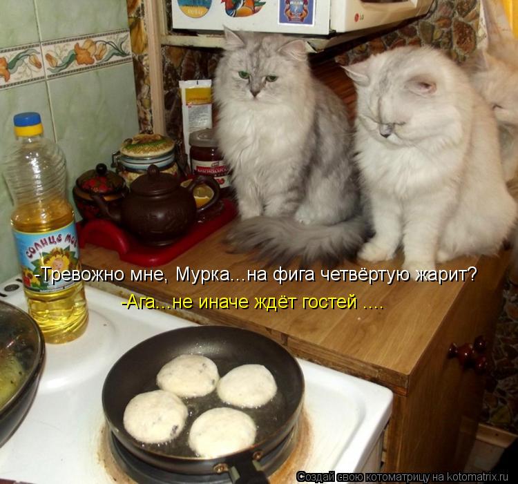 -Тревожно мне, Мурка...на фига четвёртую жарит? -Ага...не иначе ждёт гостей ....... Котоматрица: -Тревожно мне, Мурка...на фига четвёртую жарит? -Ага...не иначе ждёт гостей ....