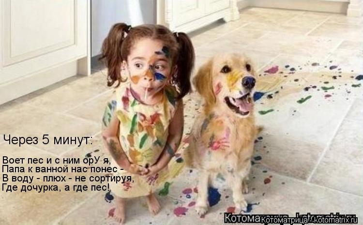 Где дочурка, а где пес! Воет пес и с ним орУ я, Через 5 минут: Папа к ванной нас понес - В воду - плю... Котоматрица: Где дочурка, а где пес! Воет пес и с ним орУ я, Через 5 минут: Папа к ванной нас понес - В воду - плюх - не сортируя,