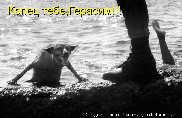 Котоматрица: Копец тебе,Герасим!!!